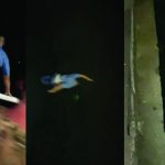 Secretario de Seguridad Pública de Tuxpan rescata con vida a turista que había caído al río.