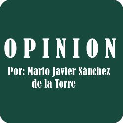 opinion