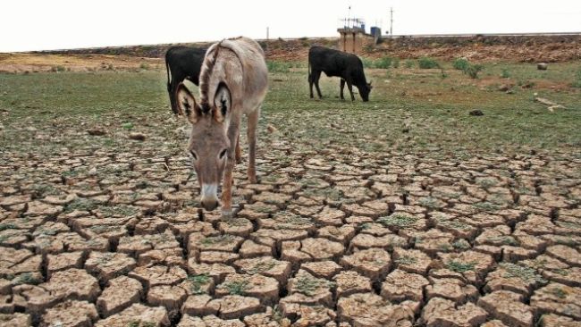 Municipios de Veracruz registran por segundo año sequía excepcional