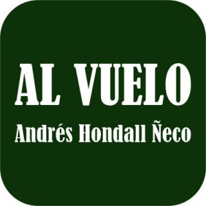  Al Vuelo.           