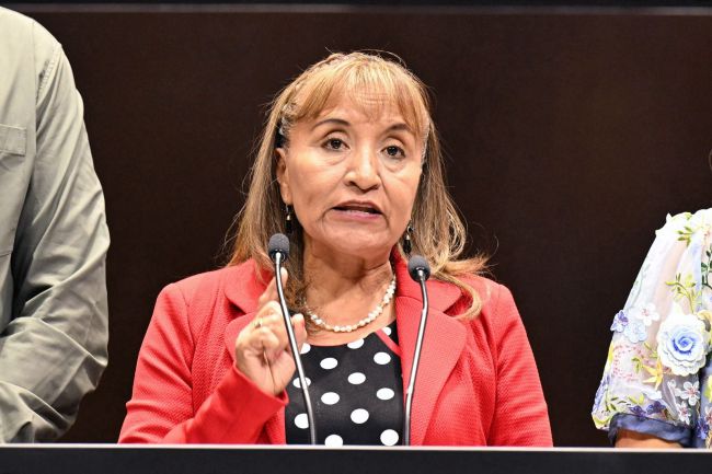 Piden prisión y multa para quien ejerciendo la patria potestad abandone a sus menores, abuse o ponga en riesgo su patrimonio y salud