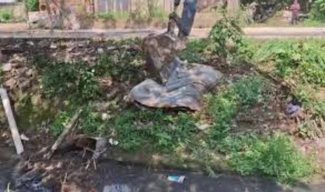 DRAGAN CANAL MORELOS PARA PREVENIR INUNDACIONES