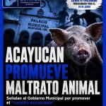GOBIERNO DE ACAYUCAN PRETENDE CONVERTIR EL MALTRATO ANIMAL EN ESPECTÁCULO.
