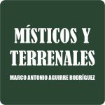 Nahle compra autobuses Yutong para Poza Rica con un posible sobreprecio superior a los 15 millones de pesos