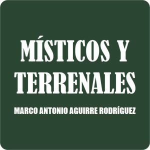 Nahle compra autobuses Yutong para Poza Rica con un posible sobreprecio superior a los 15 millones de pesos